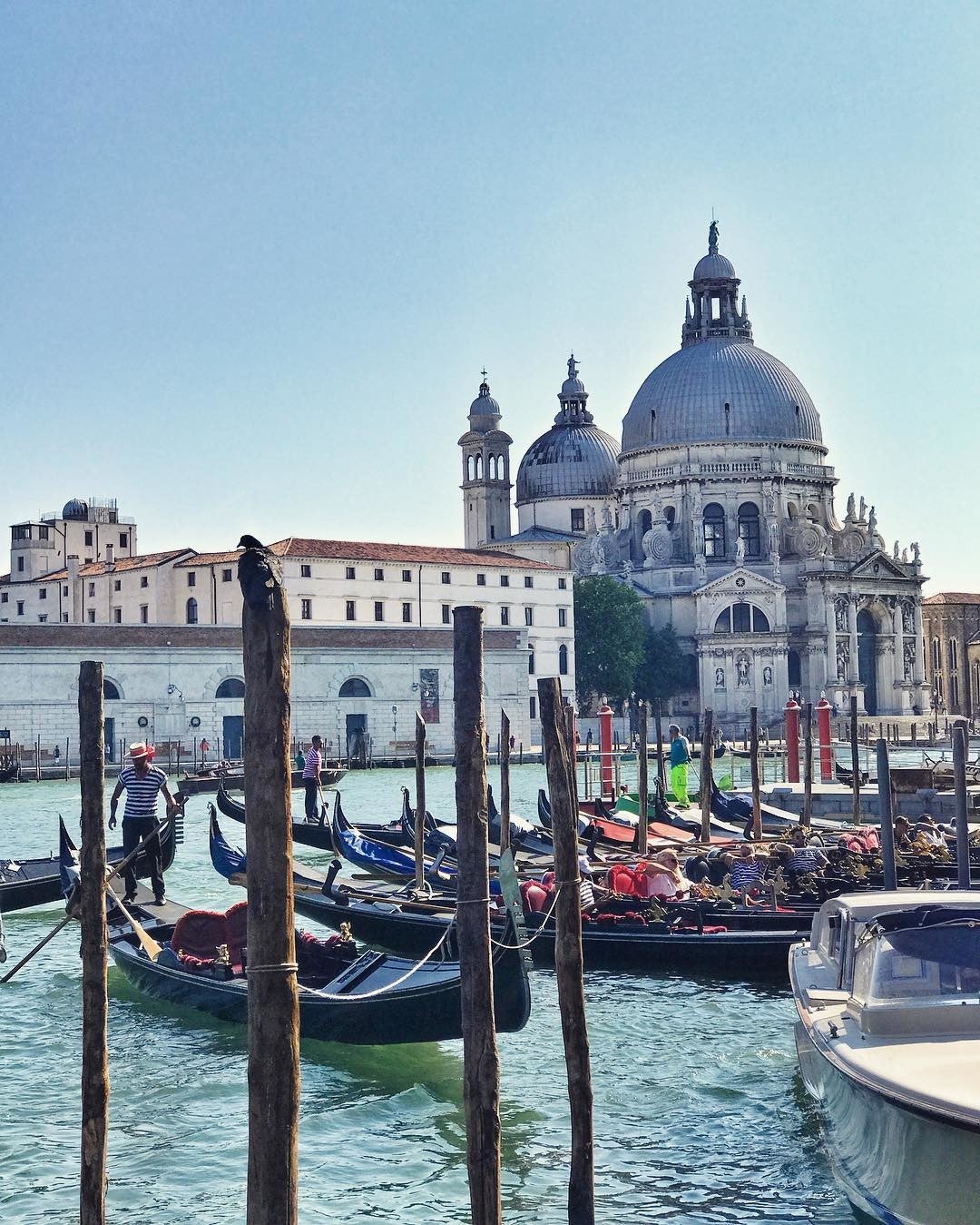 Traditional Venetian gondolas on the Grand Canal with Basilica di Santa Maria della Salute in background