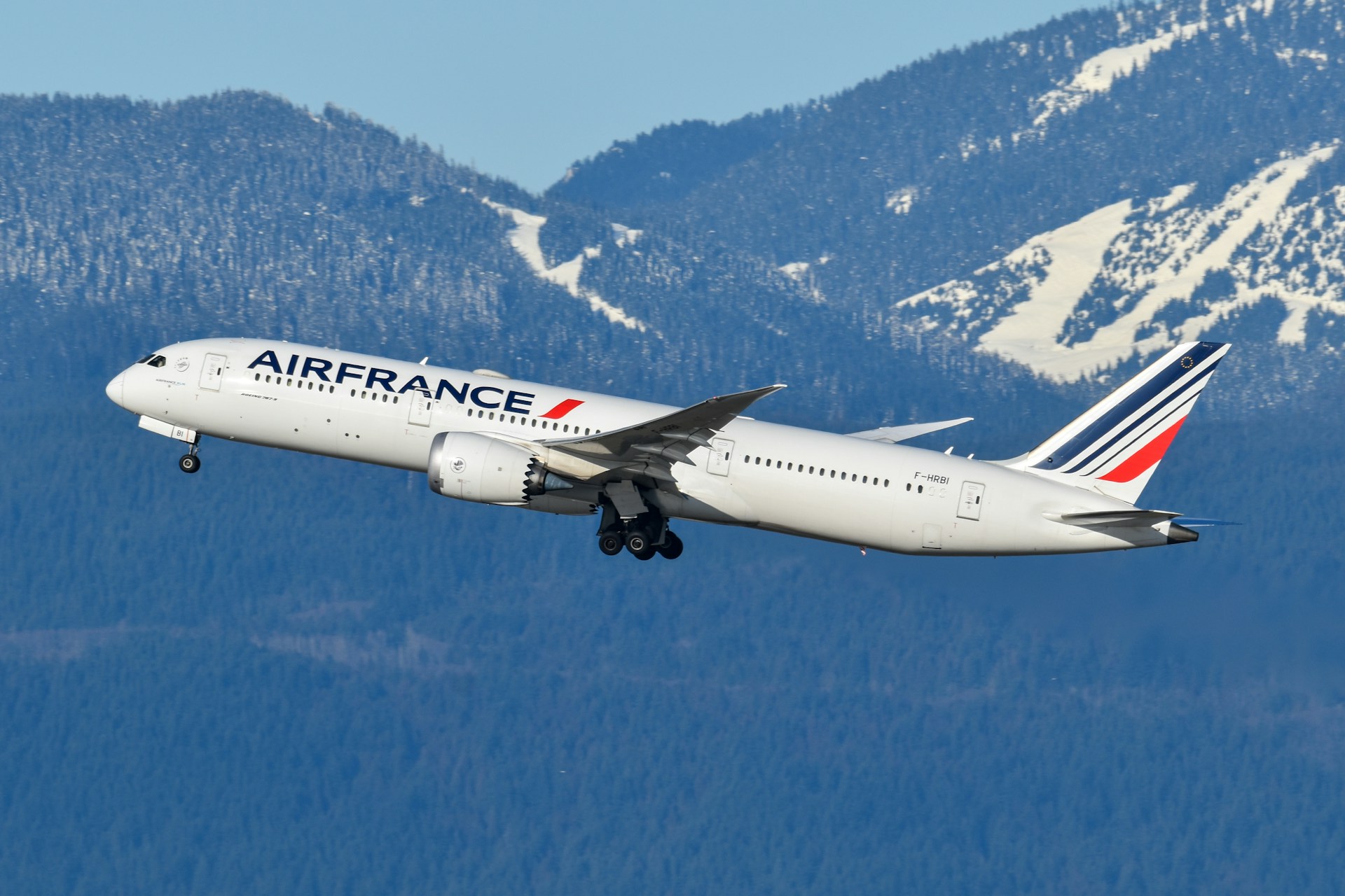 A photo of Air France flying in the Alps