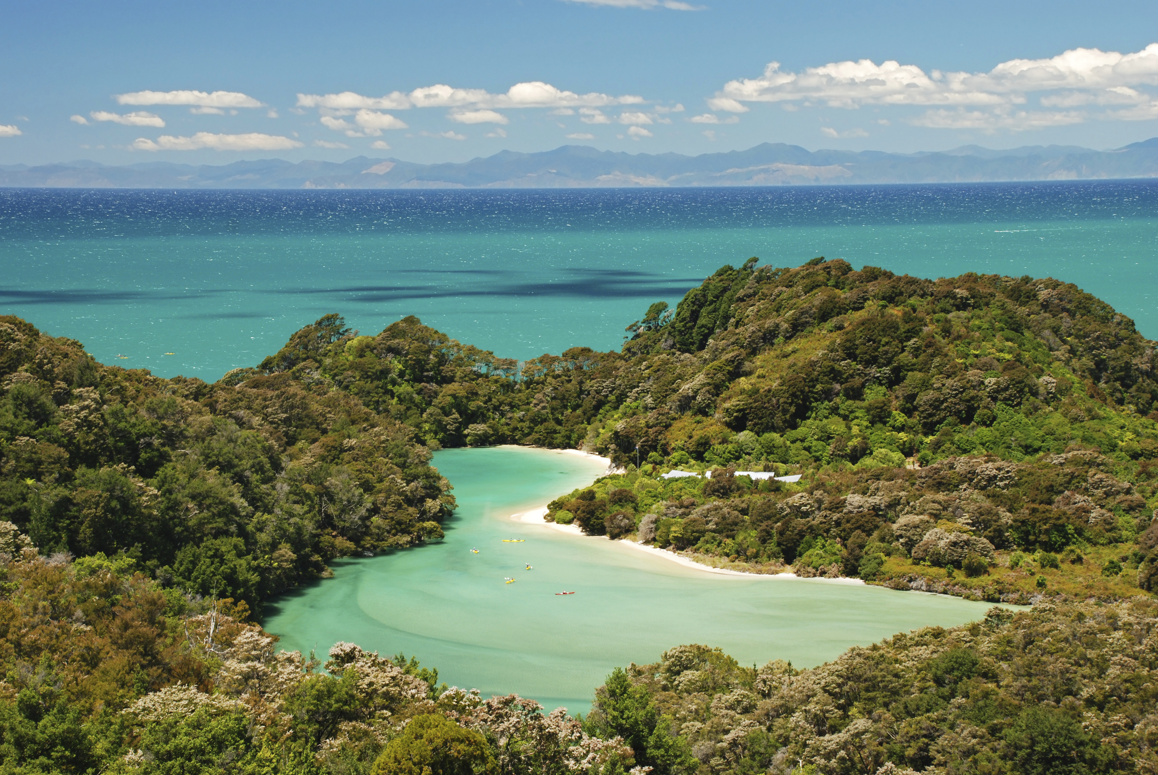 Turquoise waters and lush green forest of Abel Tasman National Park