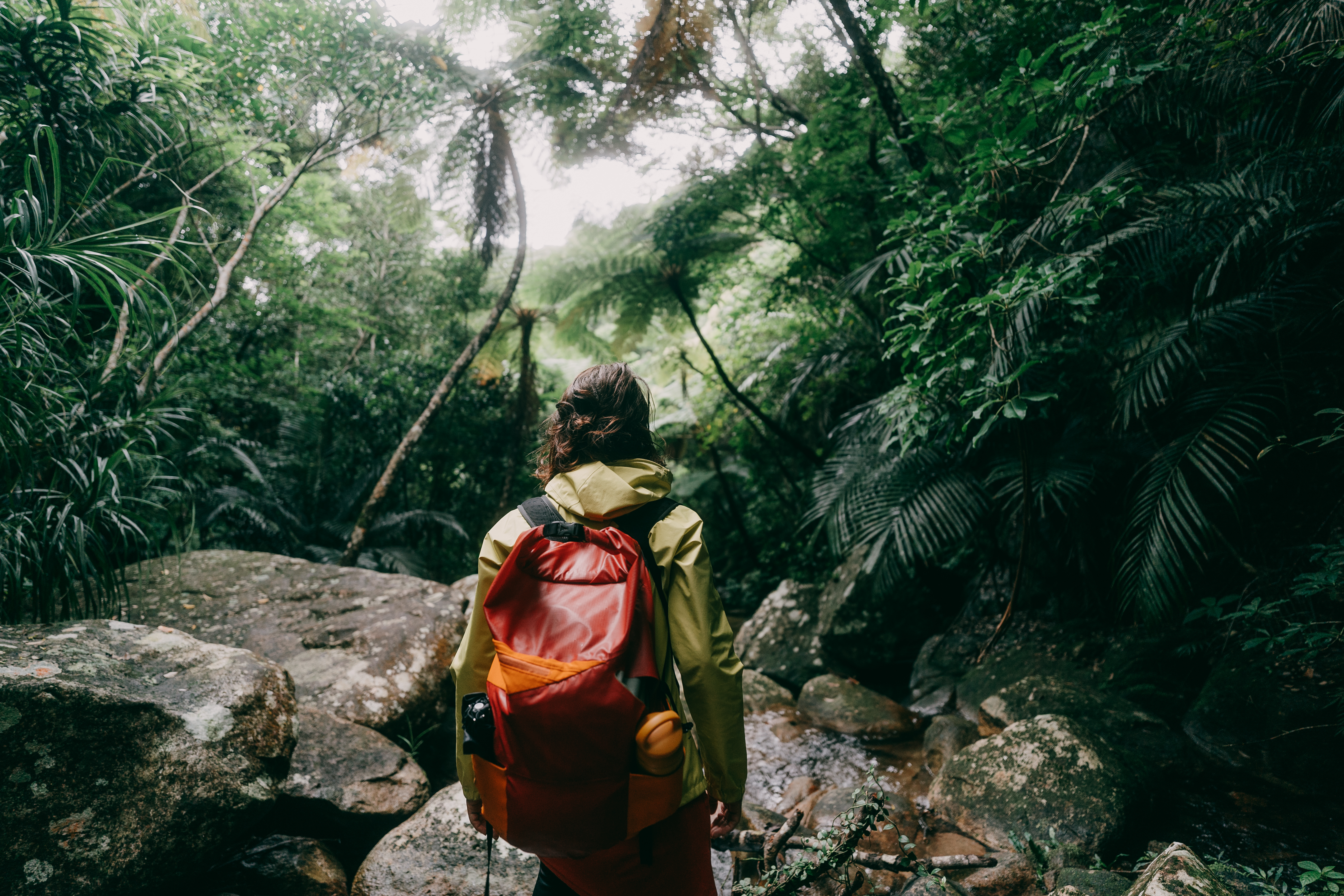 A hiker wearing a bright red backpack stands at the edge of a rocky stream in a lush, green forest.