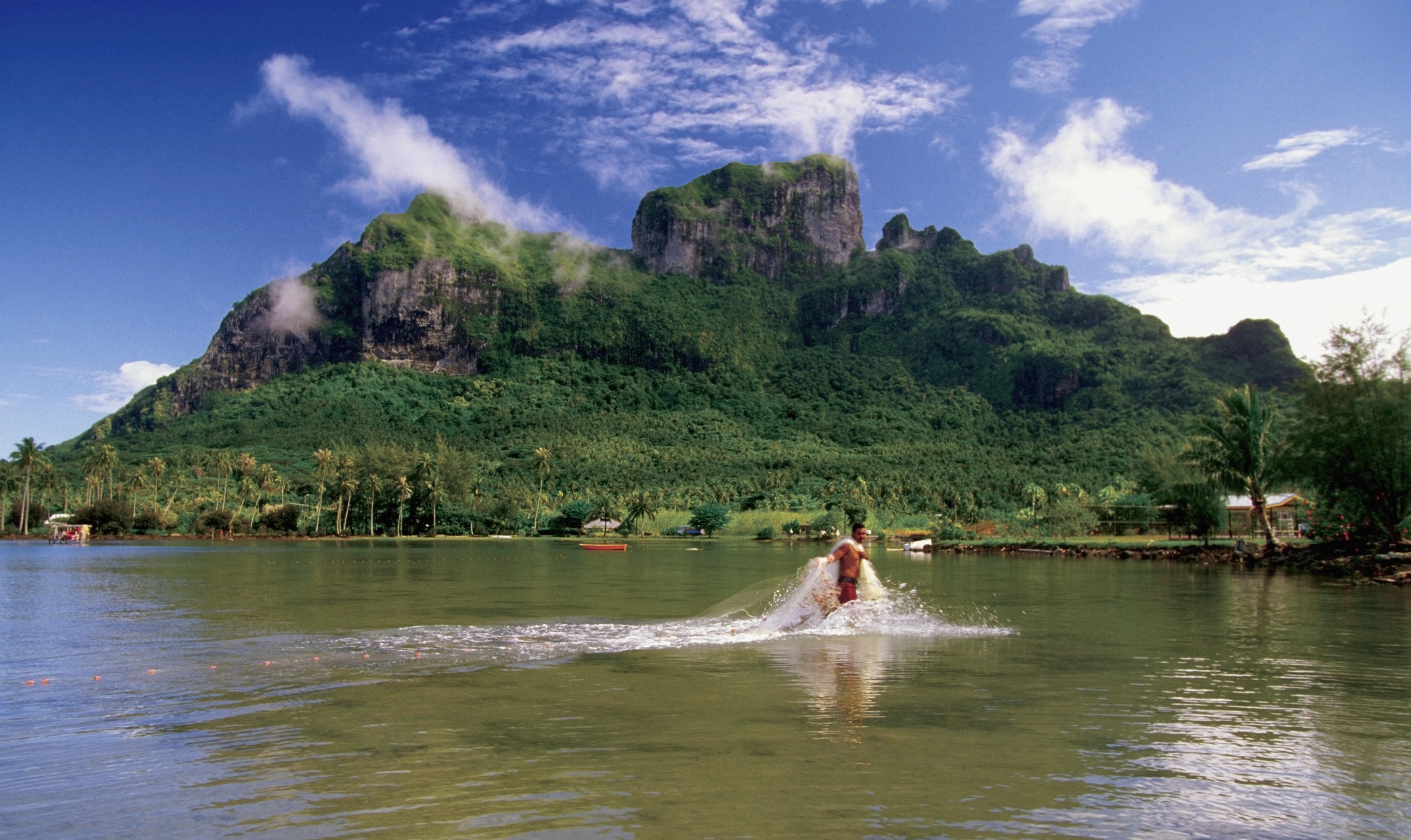 Person fishing in a lagoon with palm trees and Mount Otemanu in background
