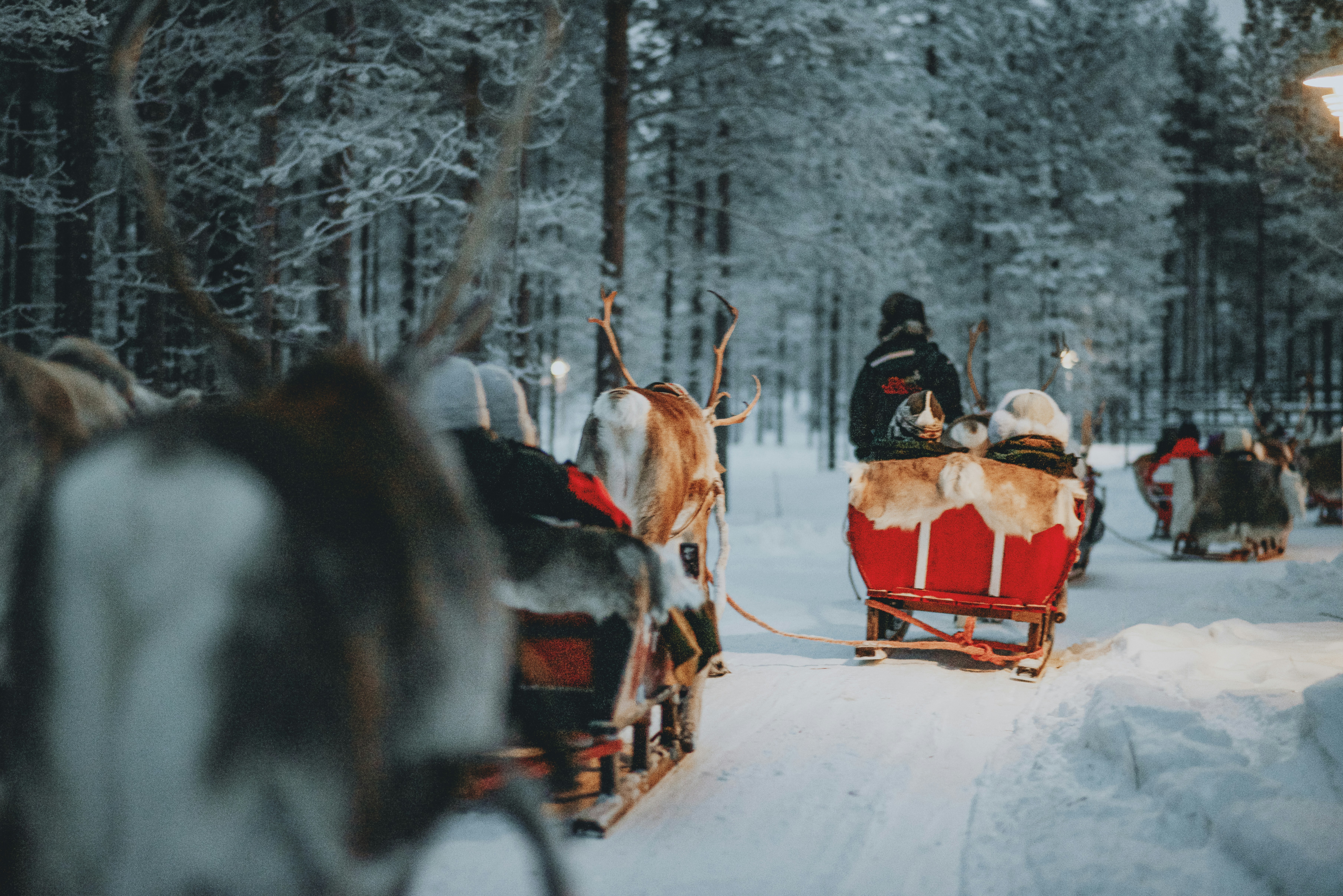 Cosa fare in Scandinavia